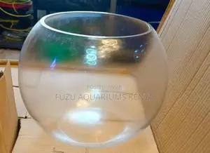 Aquaglobe – A Modern Twist on the Classic Fish Bowl
