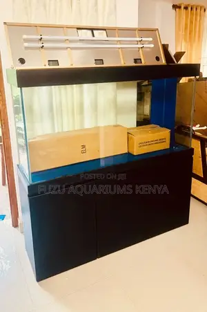 Midnightwaters – Stylish Aquarium With Sleek Black Cabinet