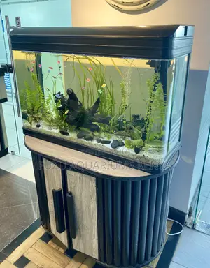 Urbanfin Elegance – Where Nature Meets Design