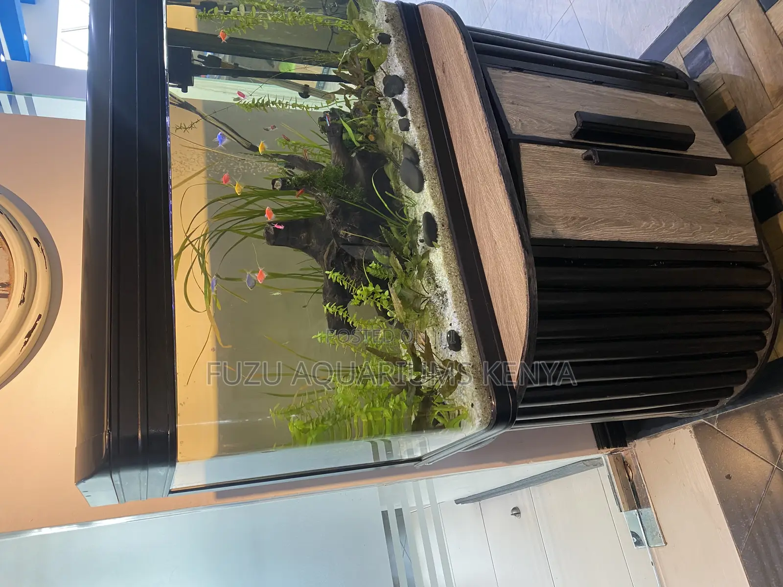 Deepflow Lounge Tank – Aquatic Elegance in Motion