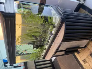 Metroscape Aquarium – Minimalist Yet Bold