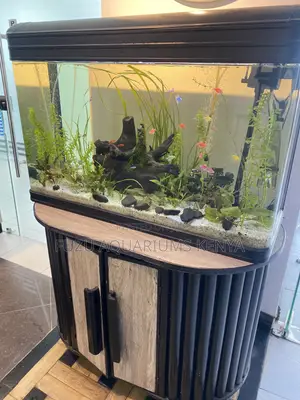 Luxestream Curve – Classic Aquarium, Modern Finish