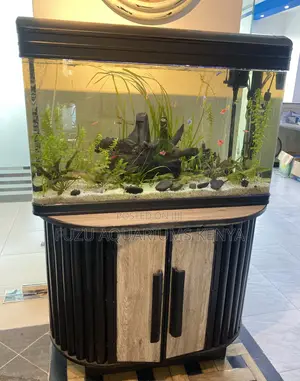The Blackwood Aquarium– Modern Life Underwater