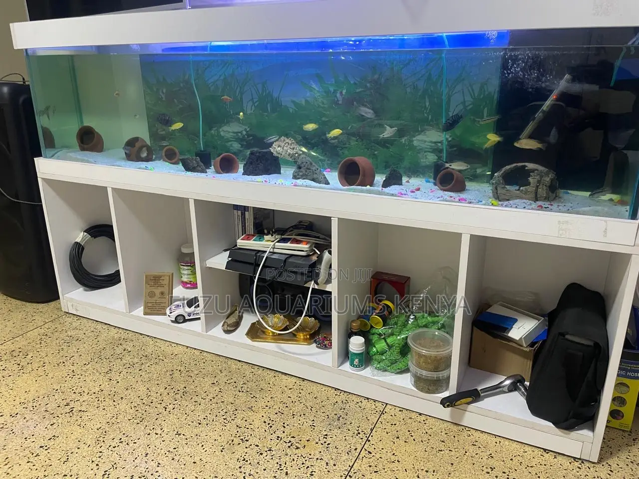 The Panoramic Prestige Wide Aquarium Display