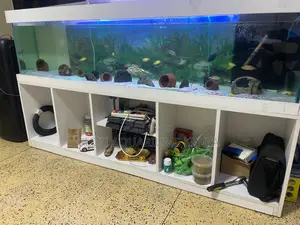 The Panoramic Prestige Wide Aquarium Display