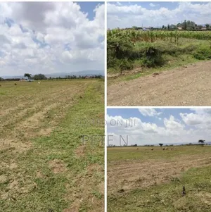 Prime Half Acre Plots Mbaruk Nakuru With Ready Title Deeds