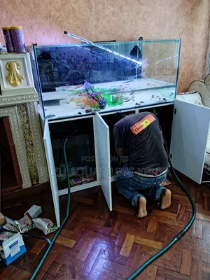 Aquarium Maintenance and Cleaning