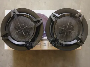 Sony Door Speakers