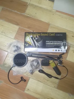 Professional Condenser Microphone