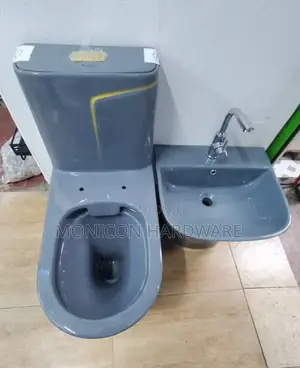 Toilet Seat (Greyish in Color)