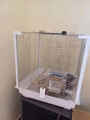Imported Cage for Birds