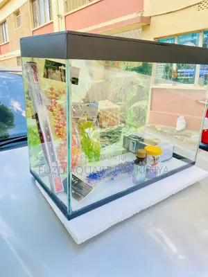 Modern Glass Aquarium – Stylish Ready-to-Use