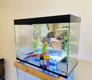 Family-Friendly Aquarium Set – Fun and Educational