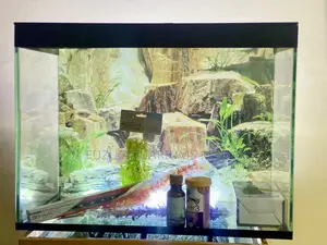 Aquarium Package – Beauty Function in One