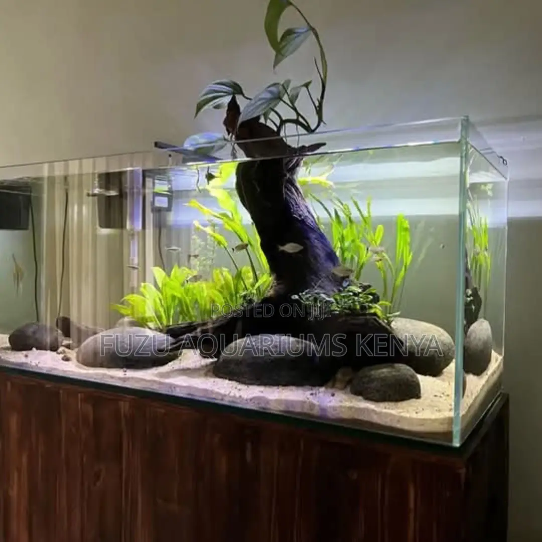 Live Planted Fish Tank – Elegance Meets Eco Balance