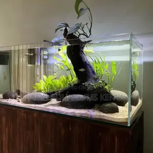 Live Planted Fish Tank – Elegance Meets Eco Balance