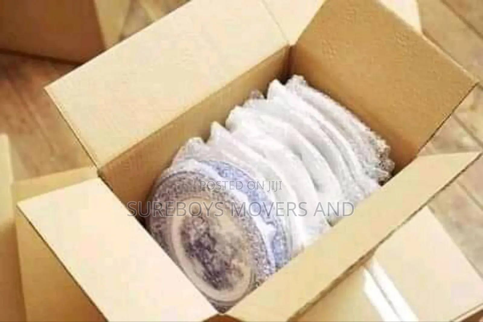 Professional Movers and Relocation Moving Services