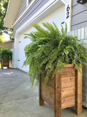 Backyard Boards(Planter)