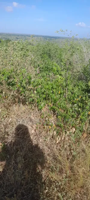 160 Acres Forsale in Matolani Baricho Good for Agricultural.