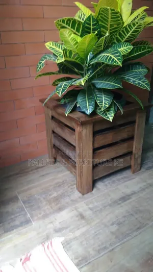 Eco Grow Planter
Co