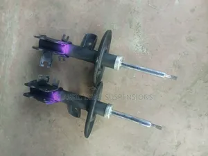 Nissan Teana Shocks