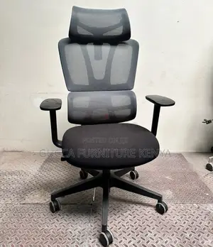 Office Chair: Office High Back Ceo Mesh Chair-Fixed Arms