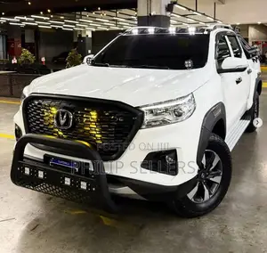 Brotect Your Double Cab Pick Up in Style With Gt Nudge Bar