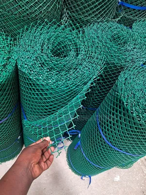 Plastic Chicken/ Poultry Mesh 1m*25meters