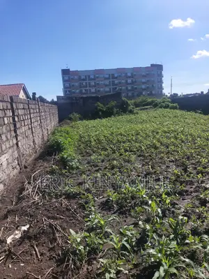 Prime 100x100 Plot for Sale – Kiganjo, Thika