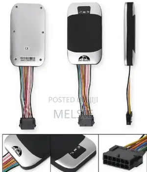 Mini Car GPS Tracker Tk303 /Gps303 Coban GPS Tracking System