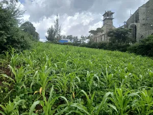 Olkeri Near Karen 3/4 Acre Prime Land for Sale