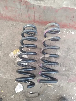 Audi Heavy Duty Coil Springs