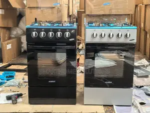 Ecomax 3+1 Best Standing Cooker