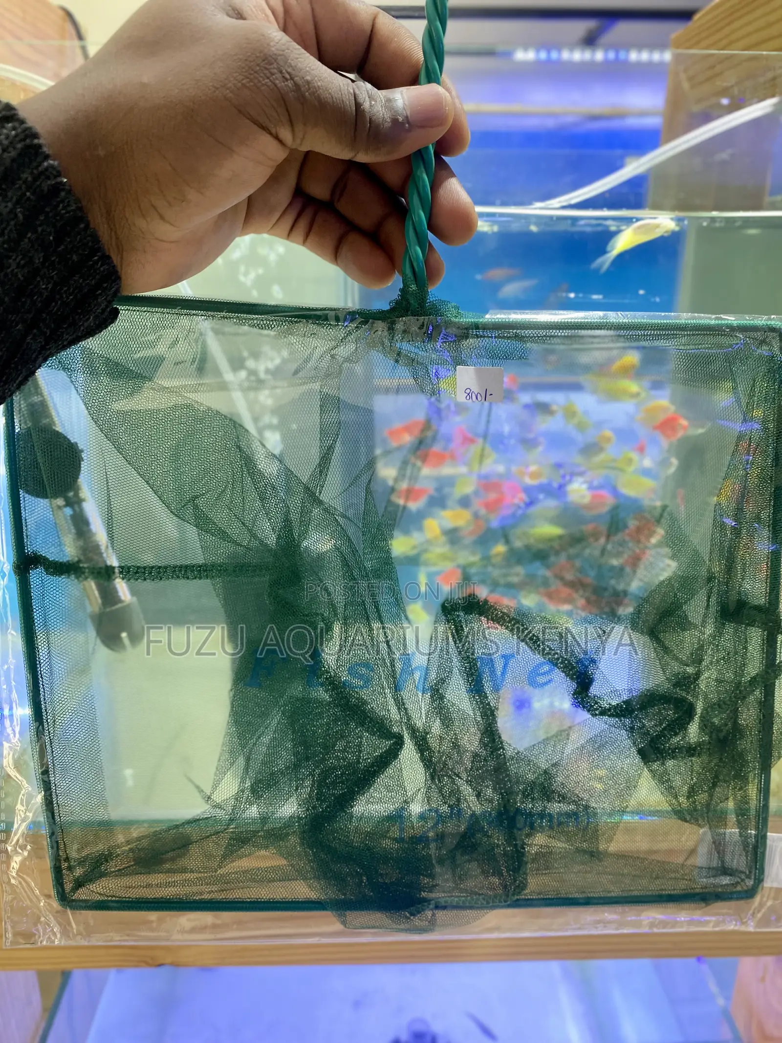 Scoop With Ease – Premium Aquarium Fishnets