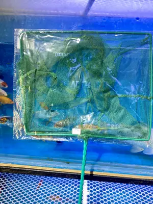 Tough on Jobs, Gentle on Fish – Shop Our Aquarium Fishnets