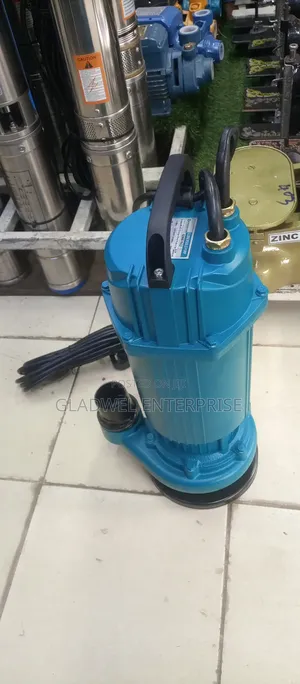 15m Head 3hp Premier Submassible Drainage/Sewage Pump