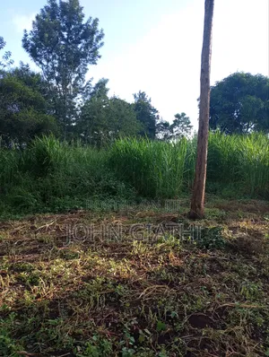 3 Acre of Prime Land on Sale at Karibaribi Near Bubbles Hotel
