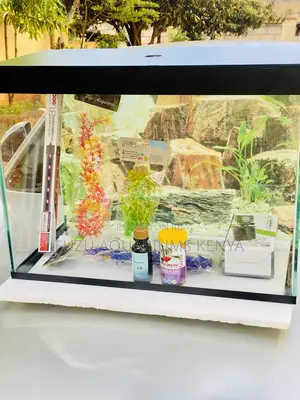 Zen in a Tank – Fully Equipped Aquarium Set