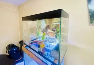 Mini Ecosystem Aquarium for Your Space