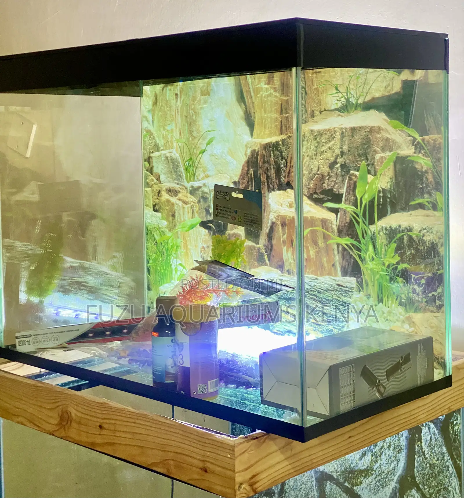 Breathe Life Into Any Room With This Aquarium