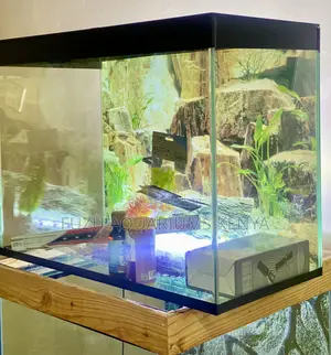Breathe Life Into Any Room With This Aquarium