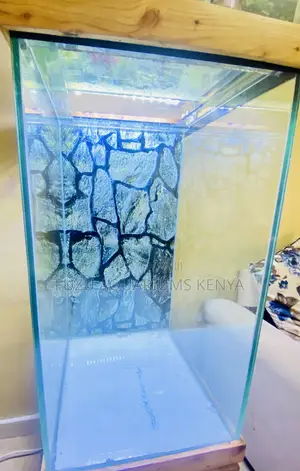 Floor-Standing Aquarium Set – Fully Loaded Beauty