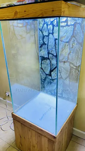 Tall Tranquil Aquarium – Your Peaceful Corner Awaits