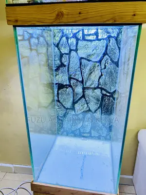 Luxury Aquarium With Fish – Plug Play Package