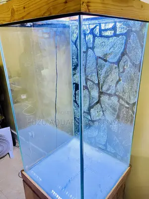 Tall Glass Aquarium – Fully Stocked Lit