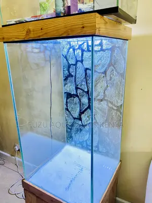 Premium Glass Aquarium – With Fish and Food