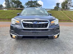 Subaru Forester 2017 Gray