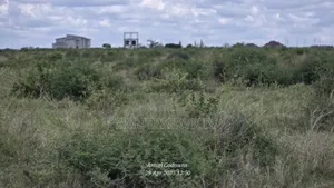 41 Acres for Sale