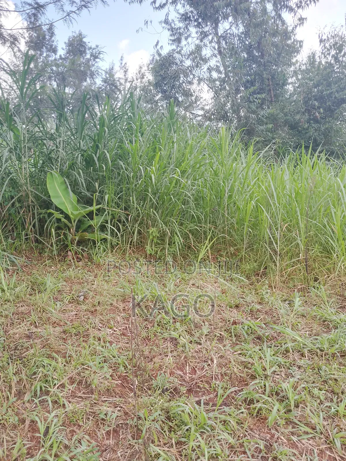 100by100 Plot at Mang'u, Gatundu North