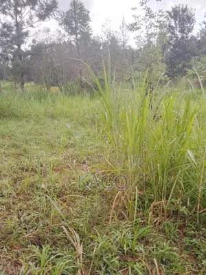 100by100 Plot at Mang'u, Gatundu North